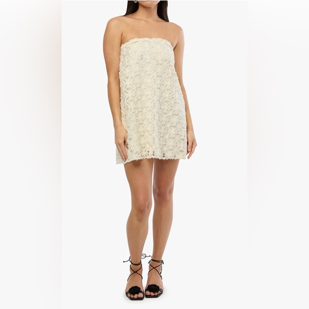 WeWoreWhat A Line Lace Mini Dress 8